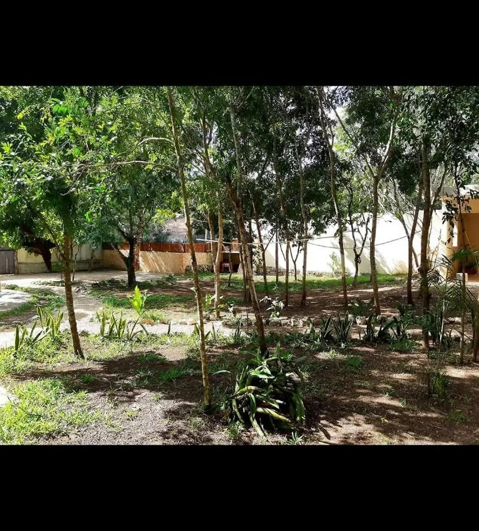 Villa Luna Y Sombra Tulum Camping